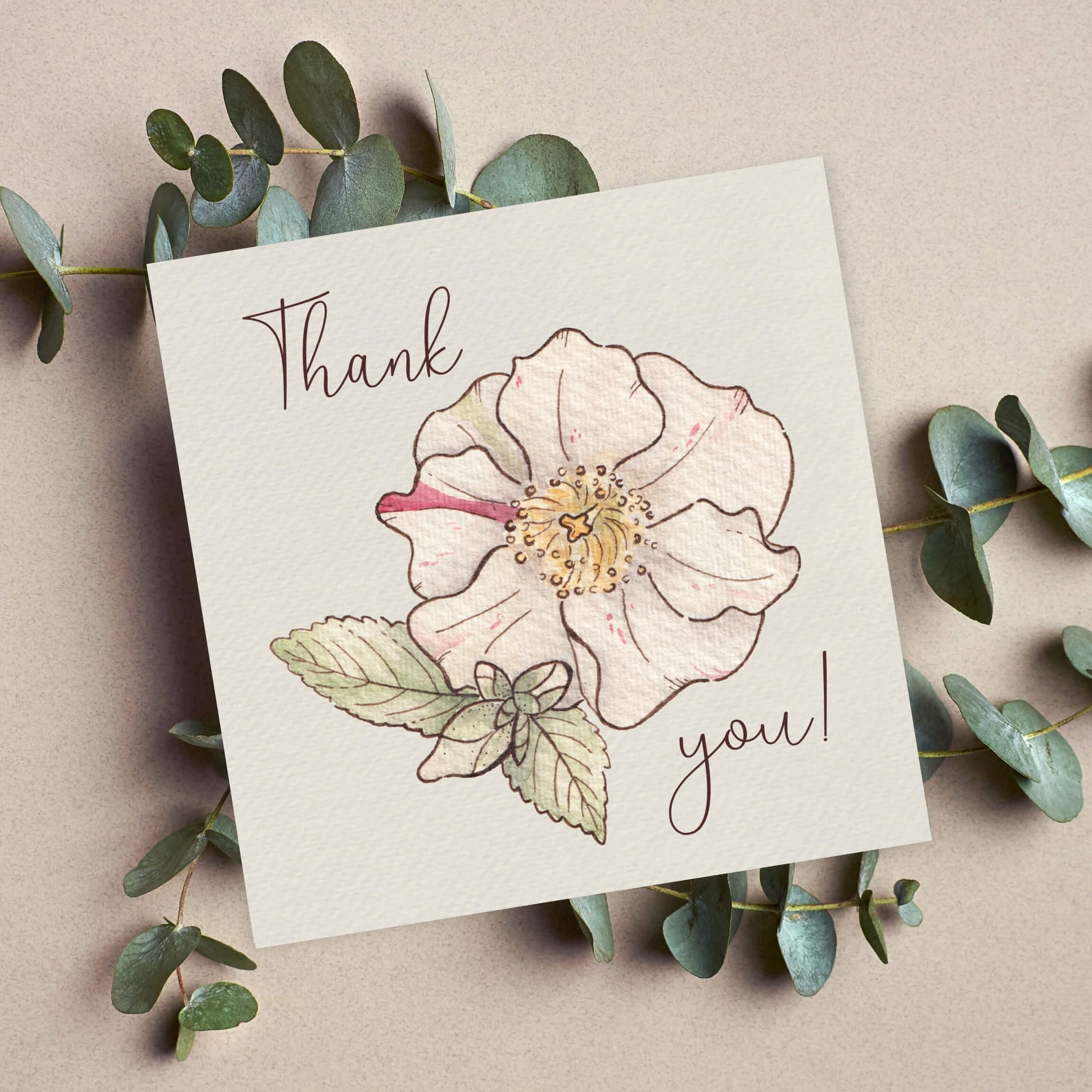 Querin Creations square greeting card with pink floral design and 'Thank you!' text, surrounded by eucalyptus leaves on a beige background.