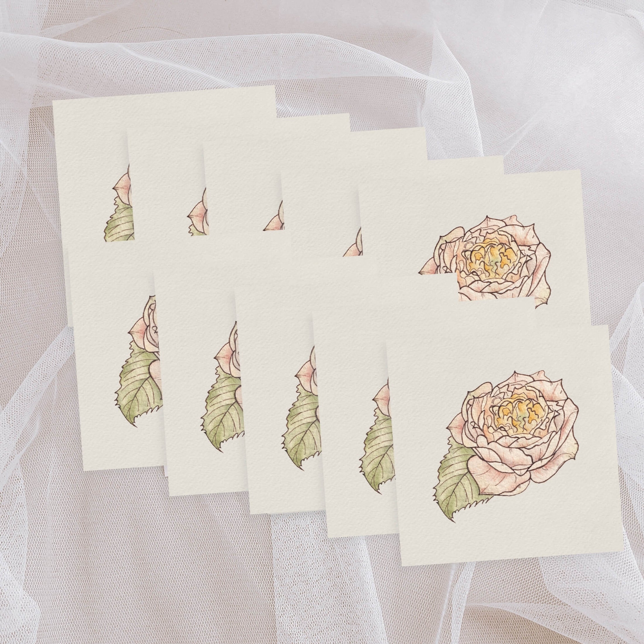 Querin Creations Set of 10 cards with watercolour roses on a sheer fabric background