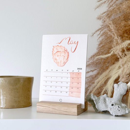 Secret of the Seashells 12 months Desk Calendar With Timber Stand