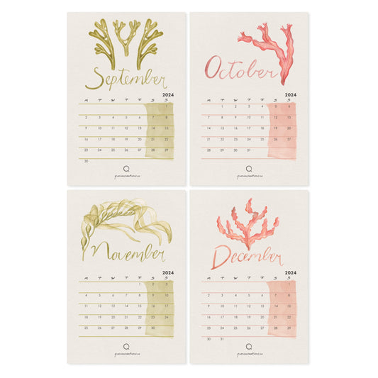 Four-month calendar for September, October, November, and December 2026 with green and red watercolour coral designs on a white background. Academic calendar 
