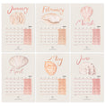 Load image into Gallery viewer, Six-month of twelve calendar with watercolour shells and coral illustrations on peach and pink shades 
