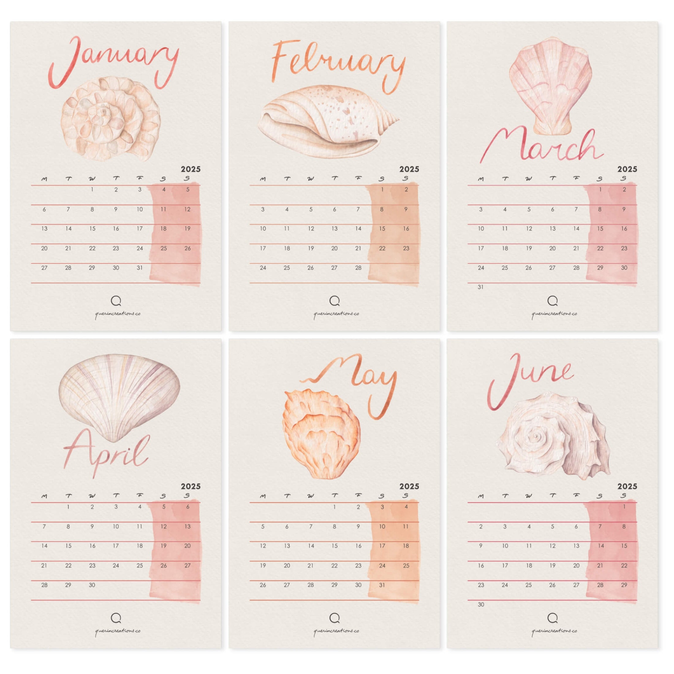 Six-month of twelve calendar with watercolour shells and coral illustrations on peach and pink shades 