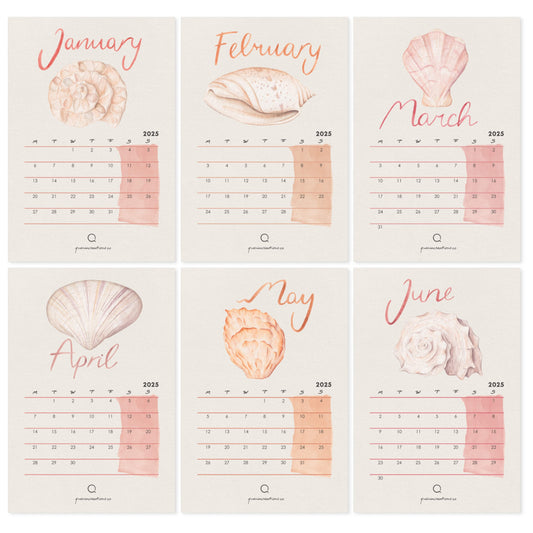 Six-month of twelve calendar with watercolour shells and coral illustrations on peach and pink shades 
