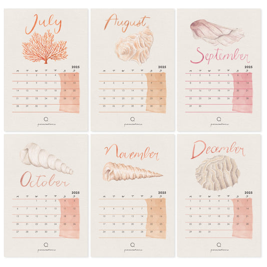 Six-month calendar with shell designs for July to December on a light. Academic calendar background with watercolour seashells and coral illustrations on peach and pink shades 