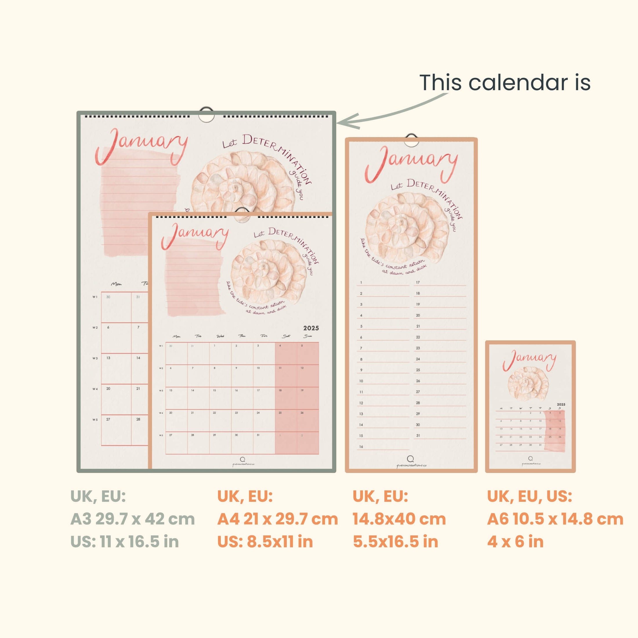 Calendar with different size options displayed on a white background