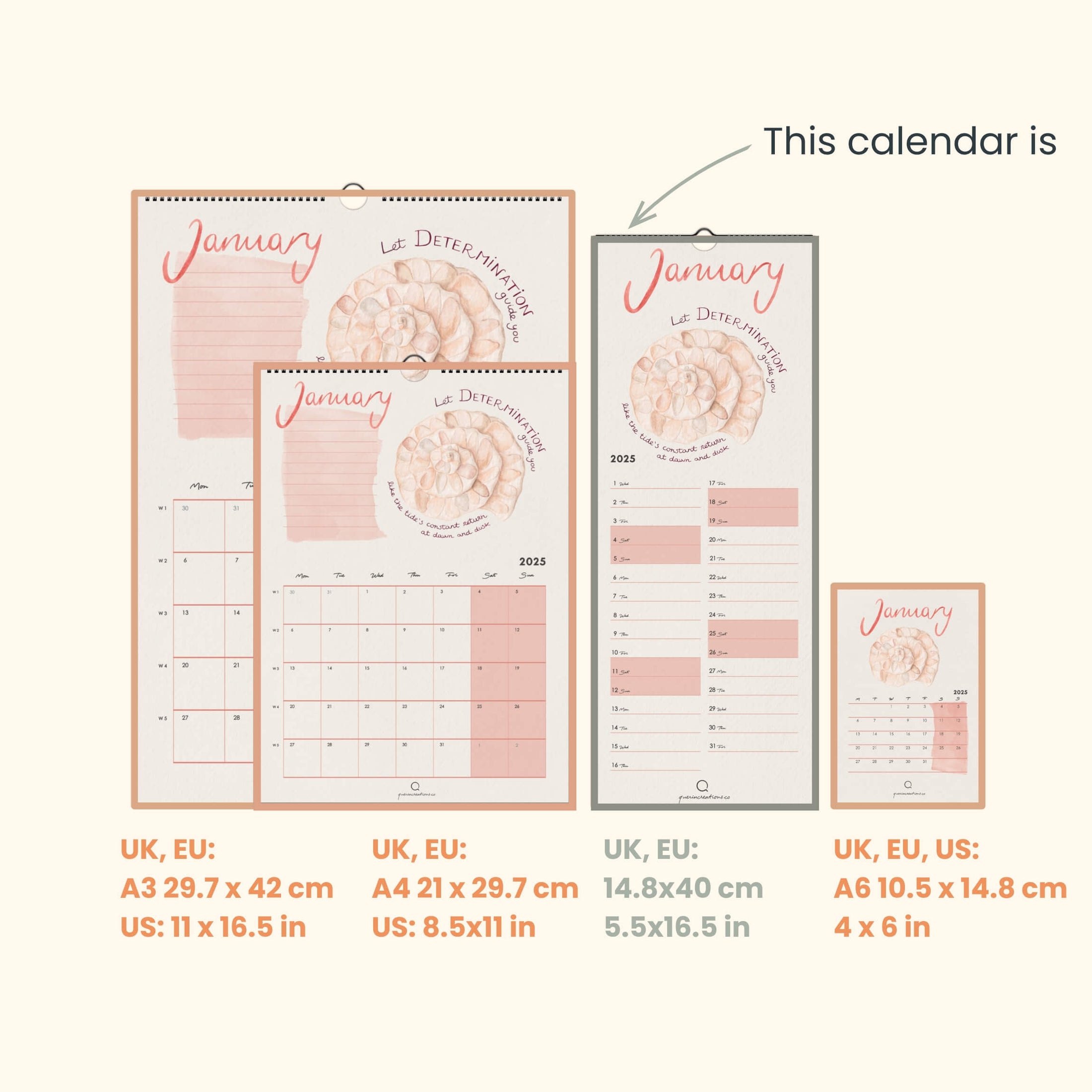 Calendar with different size options displayed on a white background
