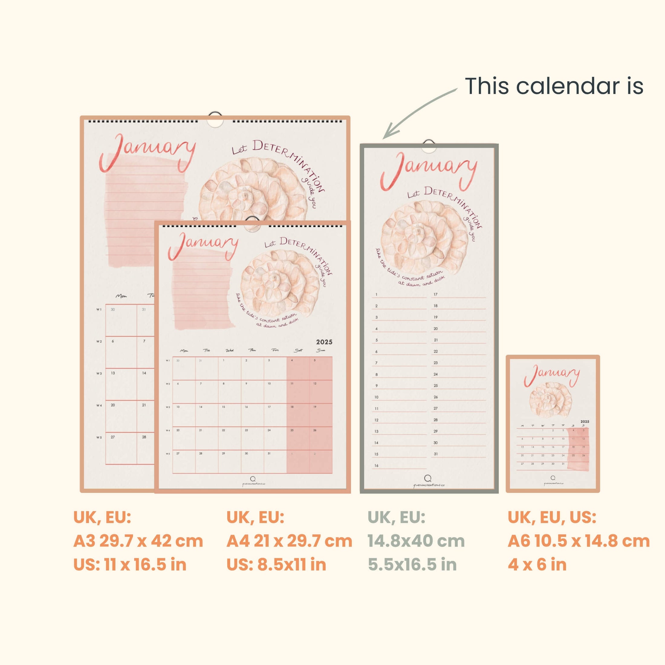 Secret of the Seashells  Perpetual Wall Calendar