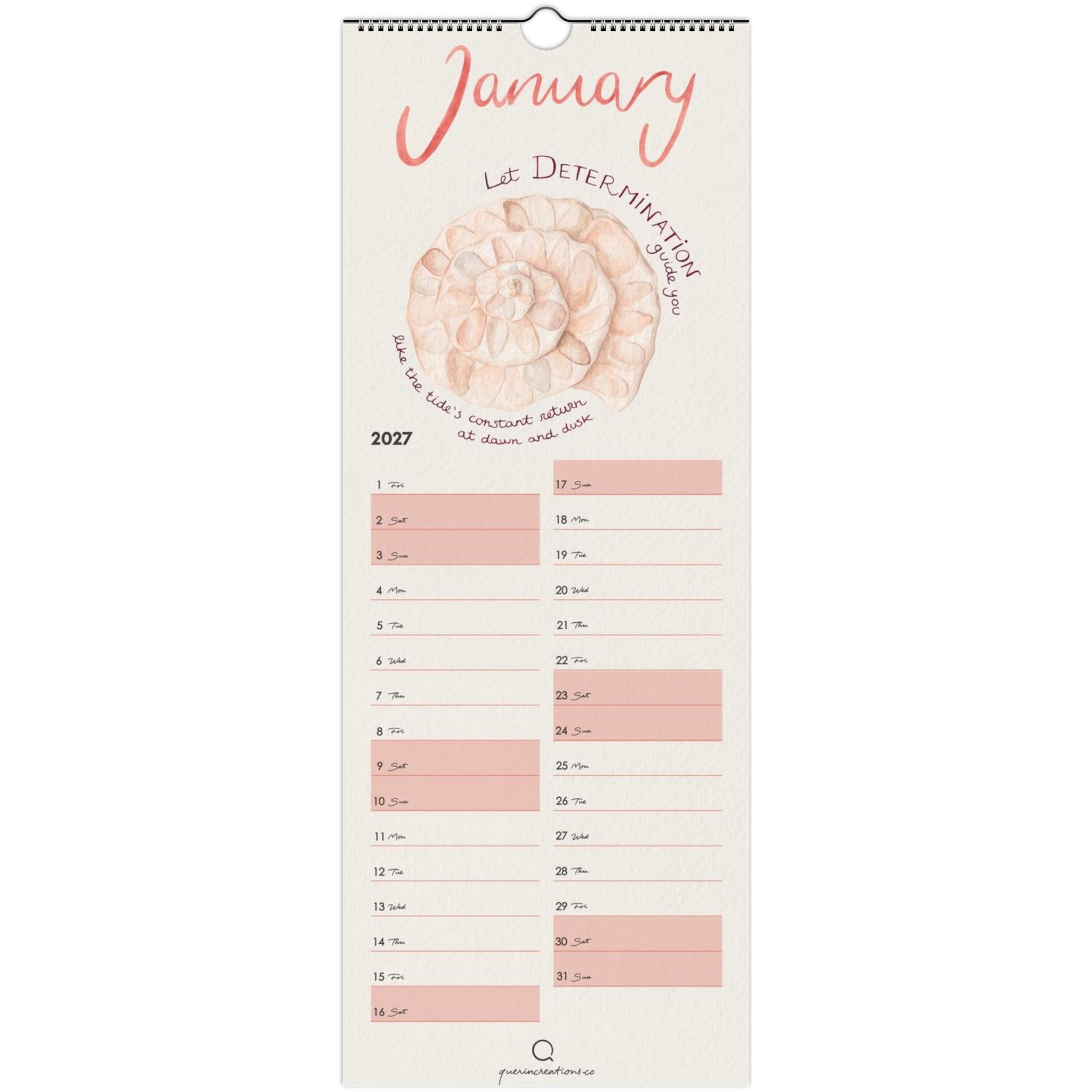 A January 2027 desk calendar page with a cream background, coral script title 'January', a nautilus shell illustration, and pink lined boxes for writing down to date through the week.