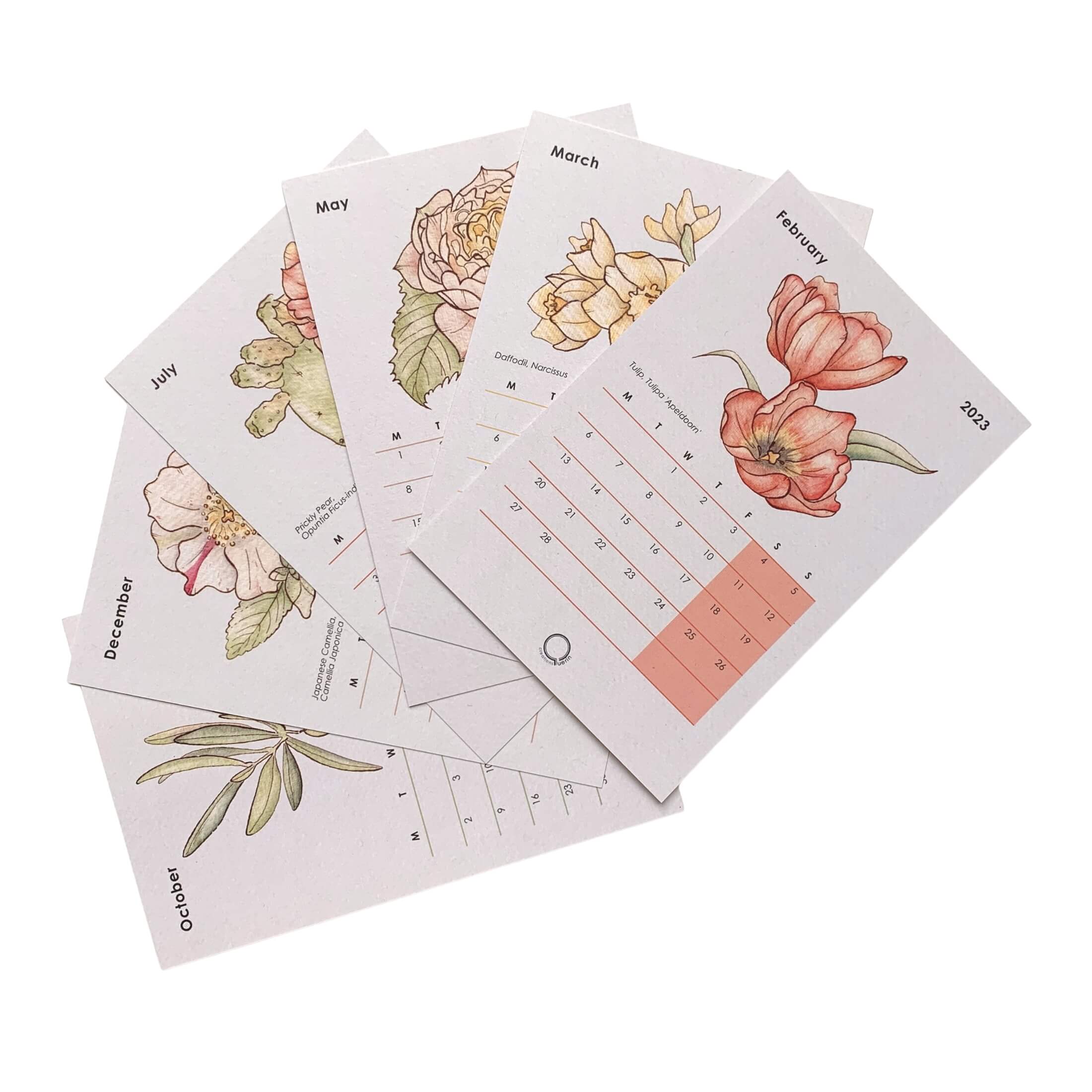 Timeless Florals 12 months Desk Calendar