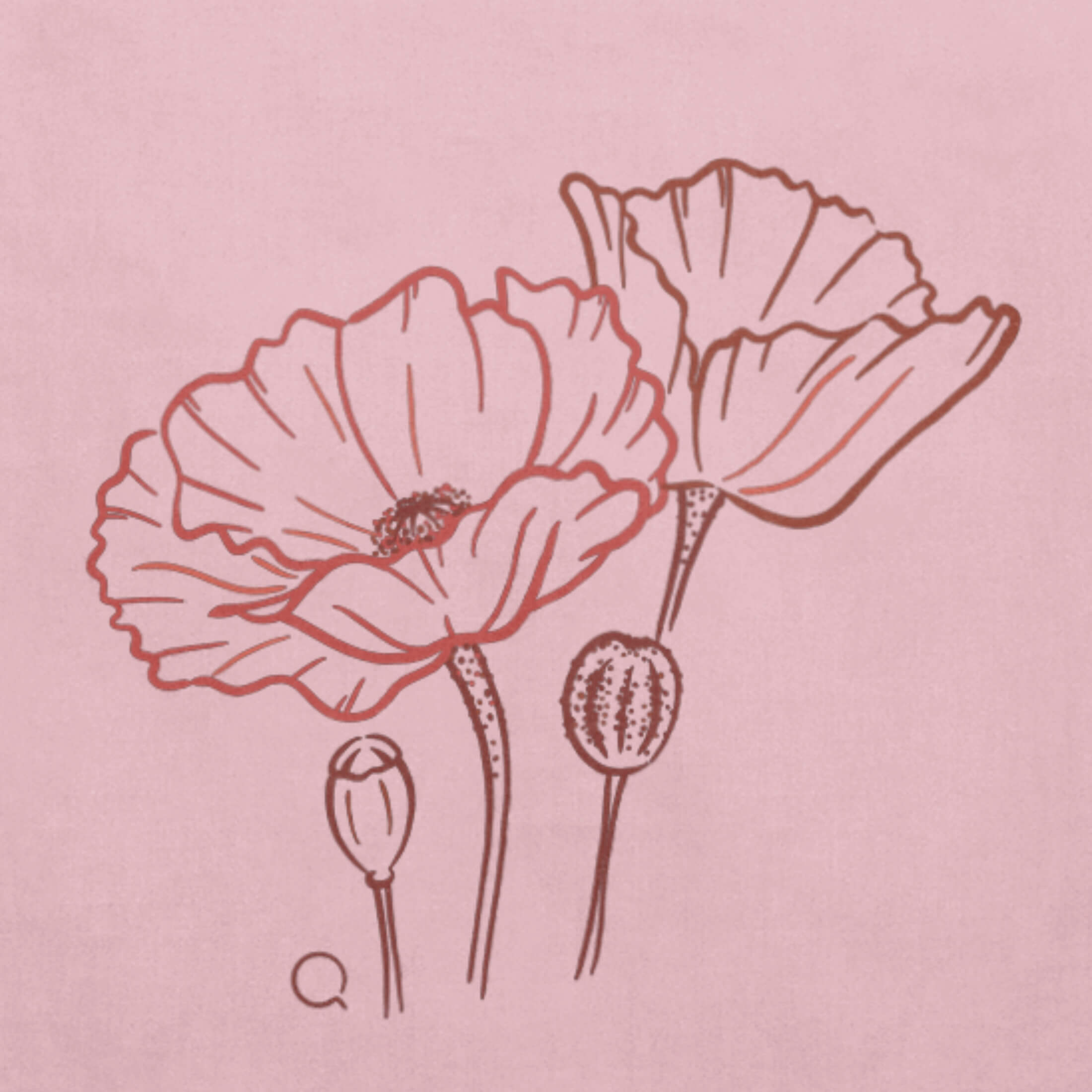 Timeless Tote Bag with Poppies Linework