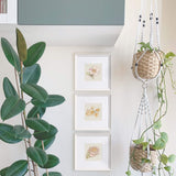 Timeless Watercolour Art Print - Bundle of 3 in Pink