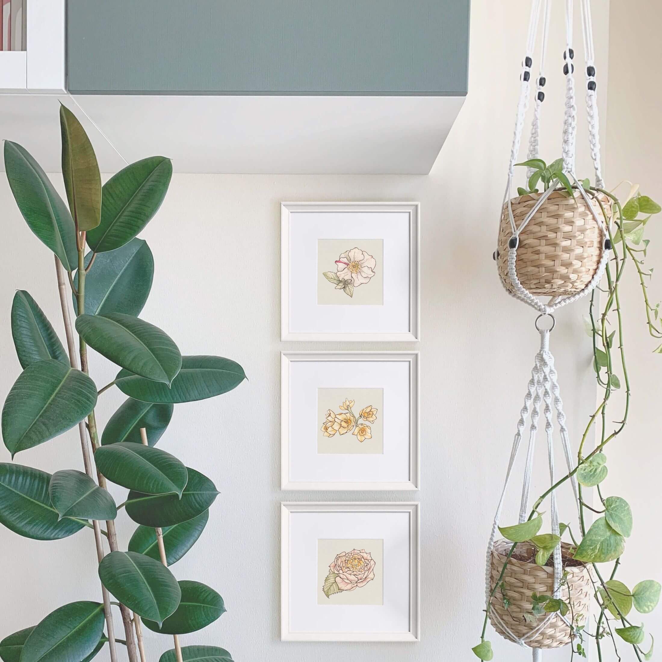 Timeless Watercolour Art Print - Bundle of 3 in Pink