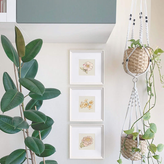 Timeless Watercolour Art Print - Bundle of 3 in Pink