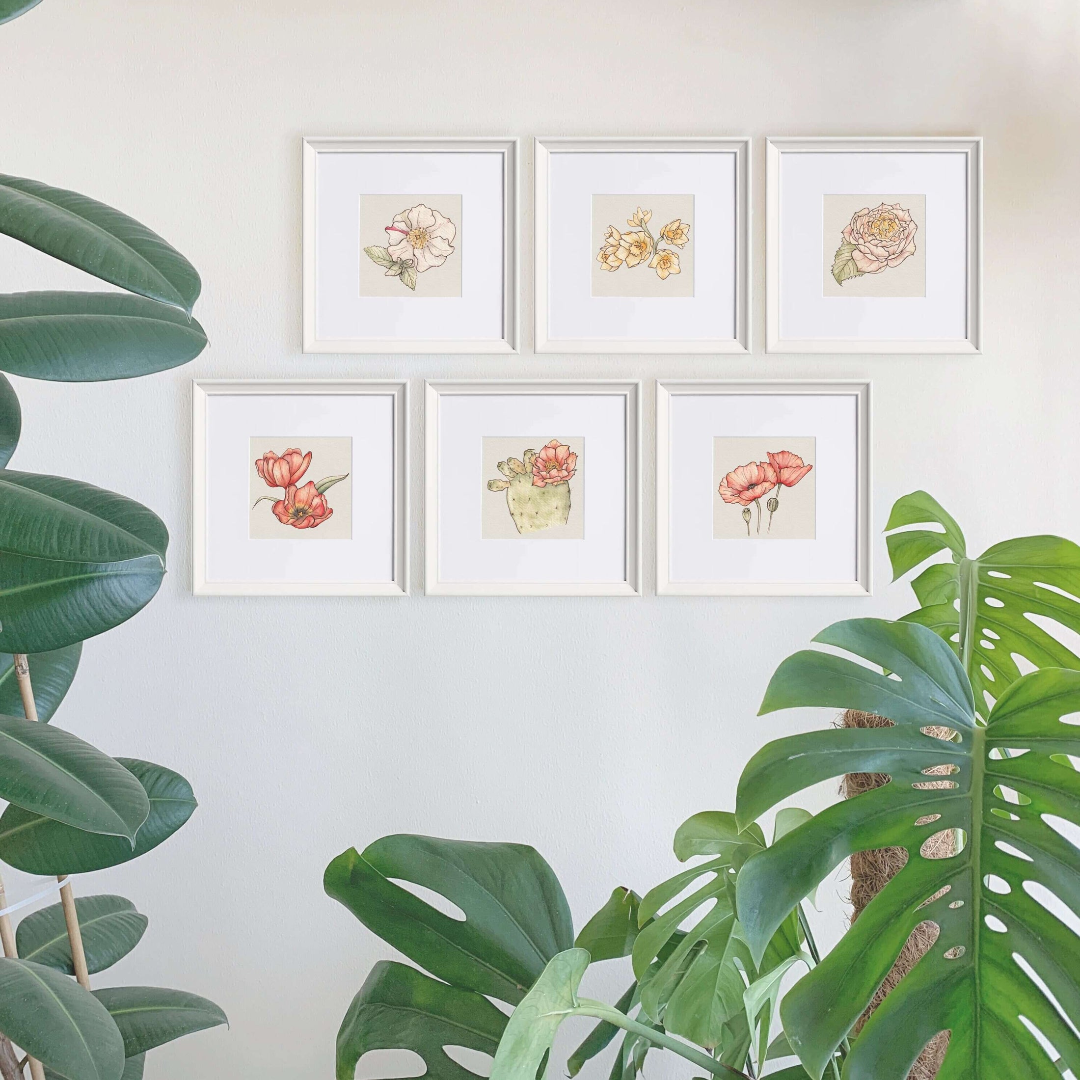 Timeless Camellia Watercolour Art Print
