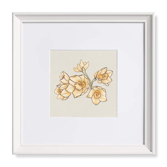 Timeless Daffodils Watercolour Art Print
