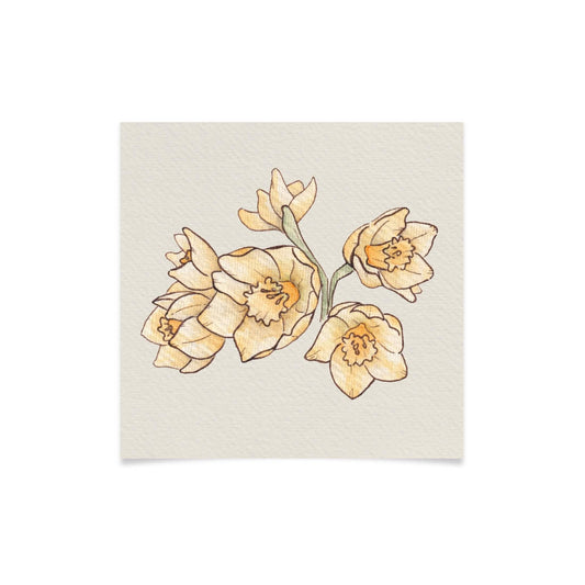 Timeless Daffodils Watercolour Art Print