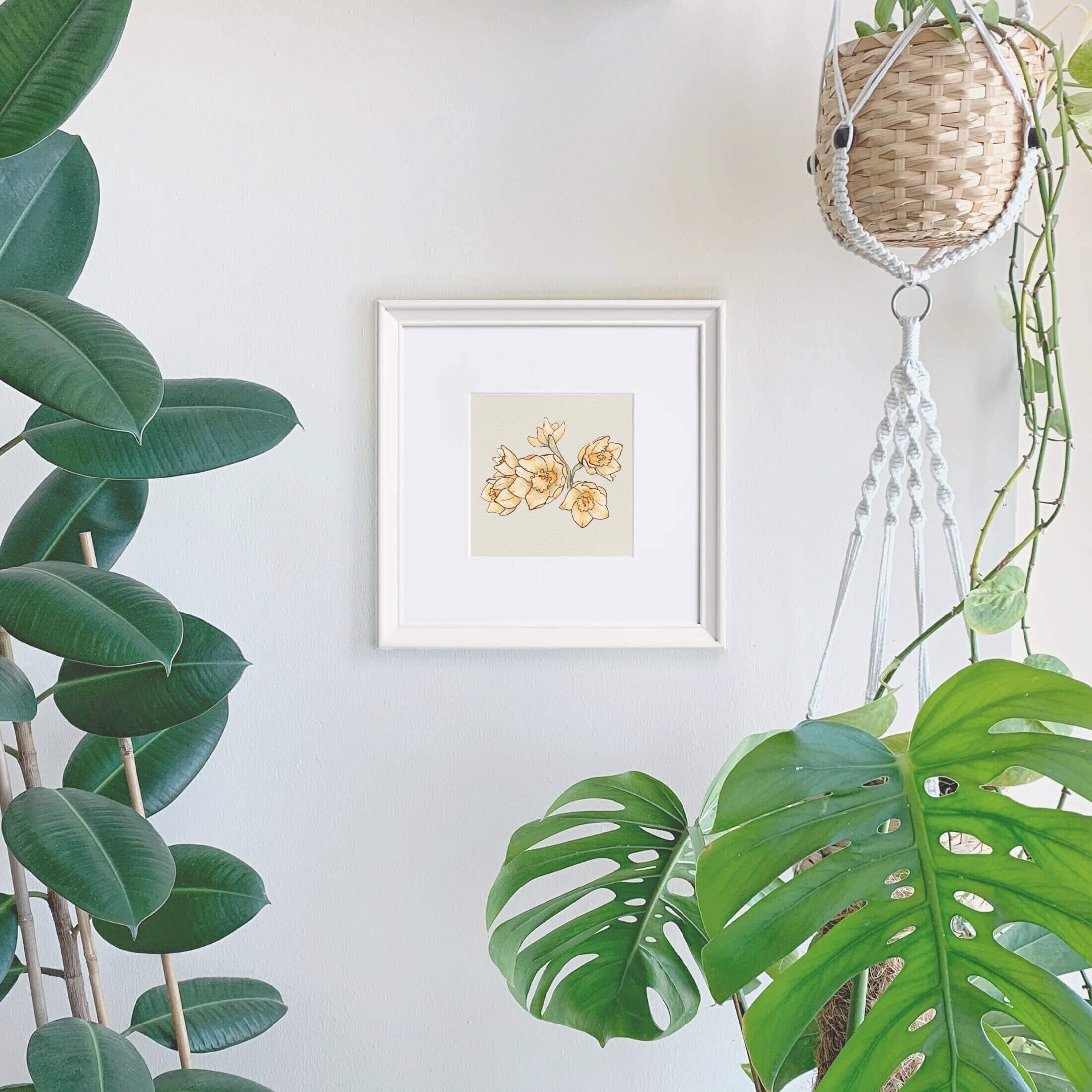 Timeless Daffodils Watercolour Art Print