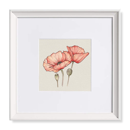 Timeless Poppies Watercolour Art Print