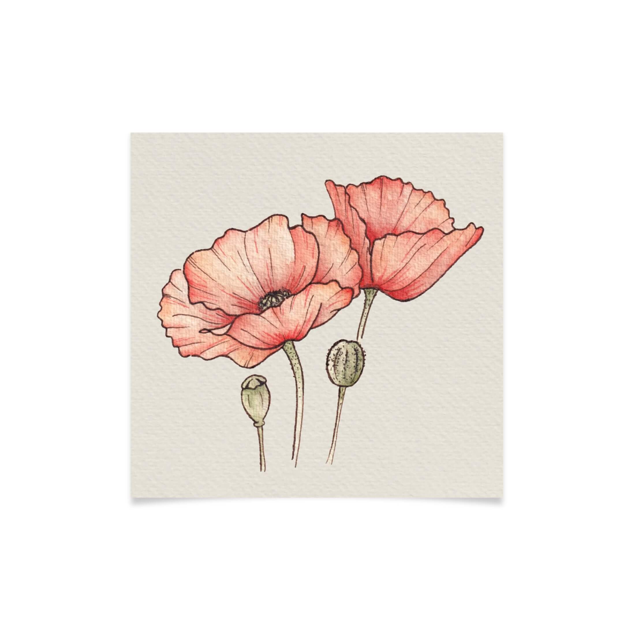 Timeless Poppies Watercolour Art Print