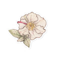 Load image into Gallery viewer, Querin Creations kiss cut Stickers with watercolour illustration of a pink camellia flower with green leaves
