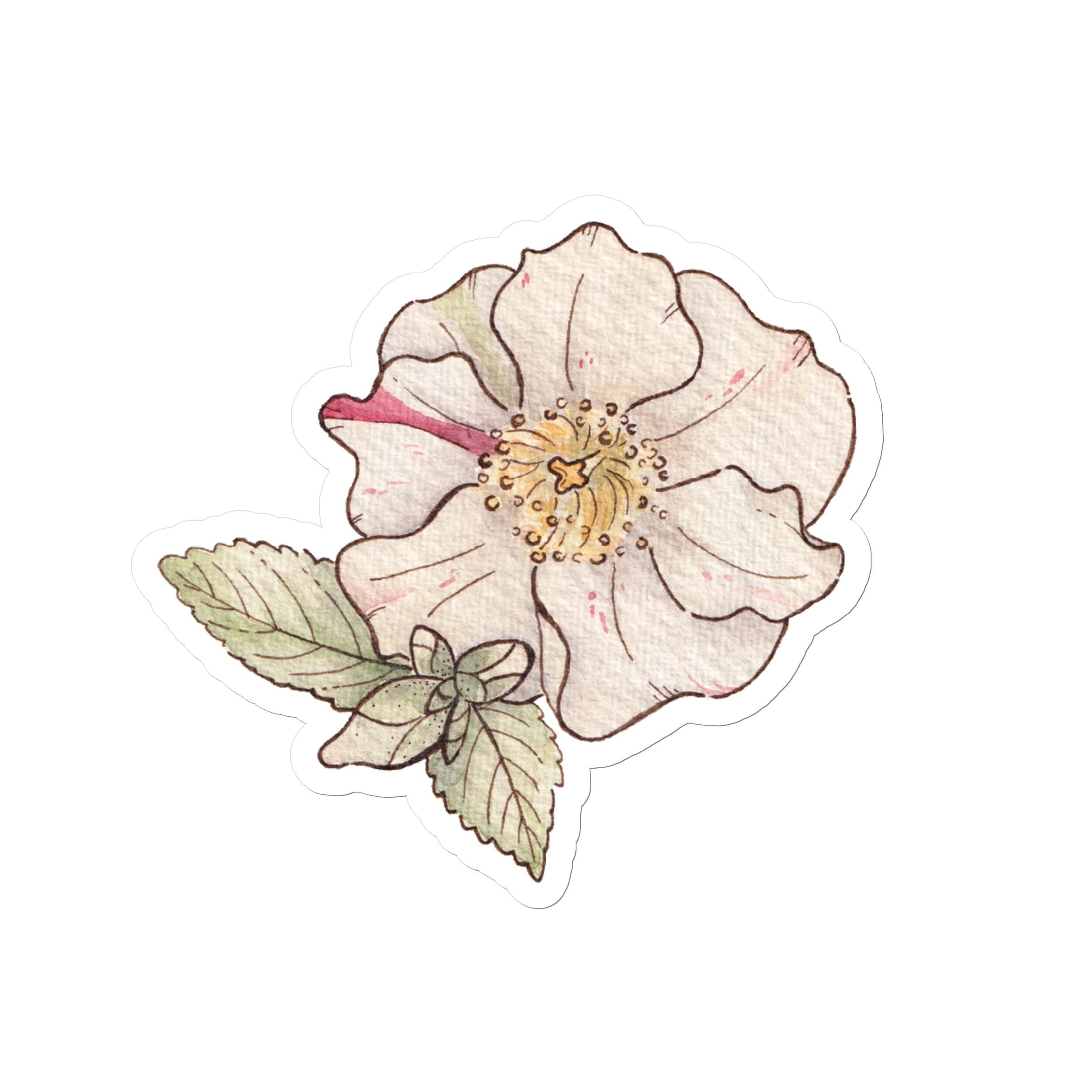Querin Creations kiss cut Stickers with watercolour illustration of a pink camellia flower with green leaves