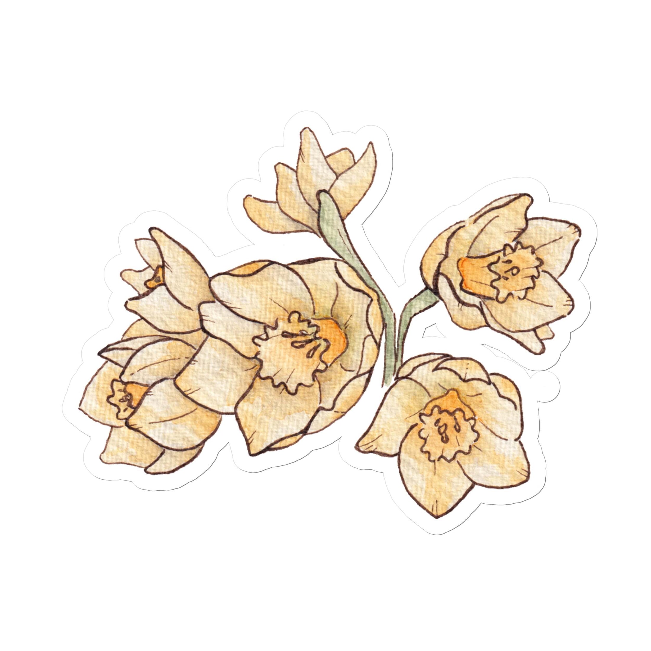 Querin Creations kiss cut Stickers with watercolour illustration of four yellow daffodils flowers