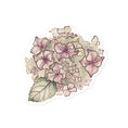 Load image into Gallery viewer, Querin Creations kiss cut Stickers with watercolour illustration of purple and and green hydrangea flower
