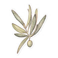 Load image into Gallery viewer, Querin Creations kiss cut Stickers with watercolour Illustration of an olive branch with olives
