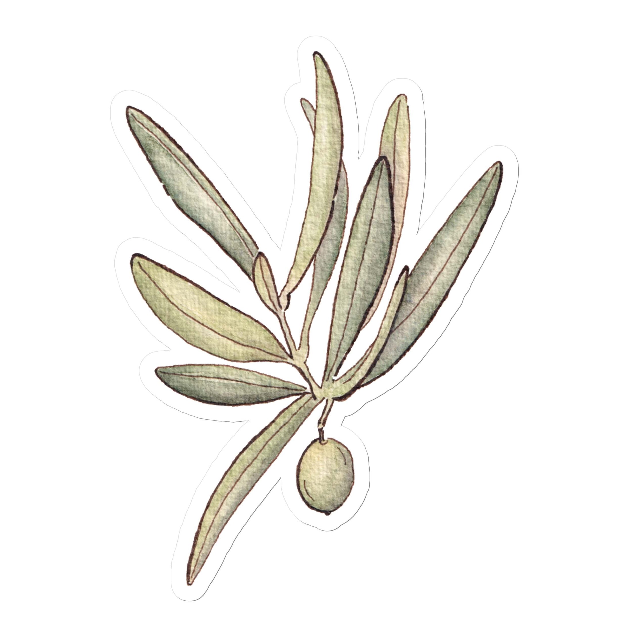 Querin Creations kiss cut Stickers with watercolour Illustration of an olive branch with olives