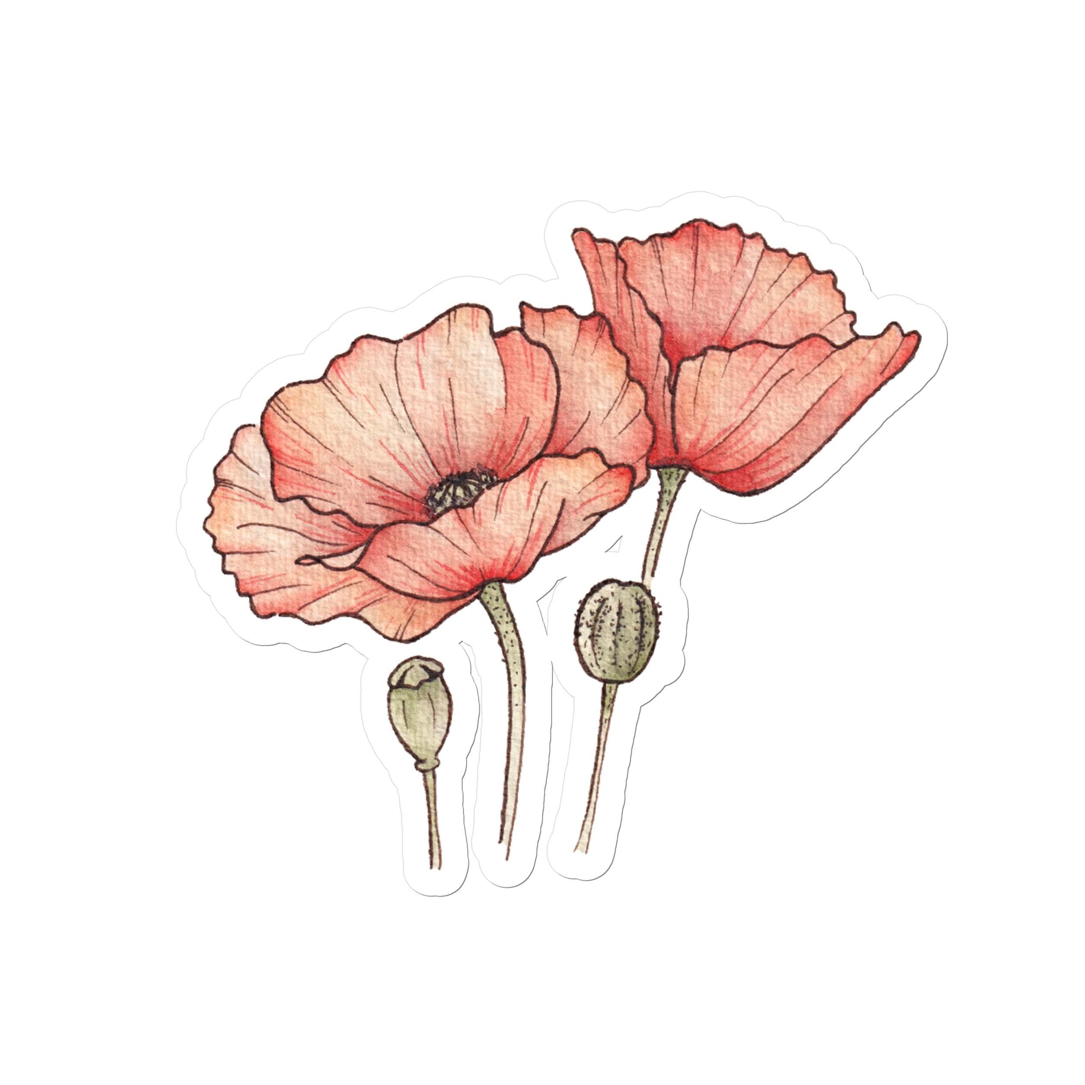 Querin Creations kiss cut Stickers with watercolour Illustration of pink poppies with buds 