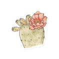 Load image into Gallery viewer, Querin Creations kiss cut Stickers with watercolour illustration of a cactus with a pink flower 
