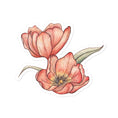 Load image into Gallery viewer, Querin Creations kiss cut Stickers with watercolour illustration of two pink tulip flowers
