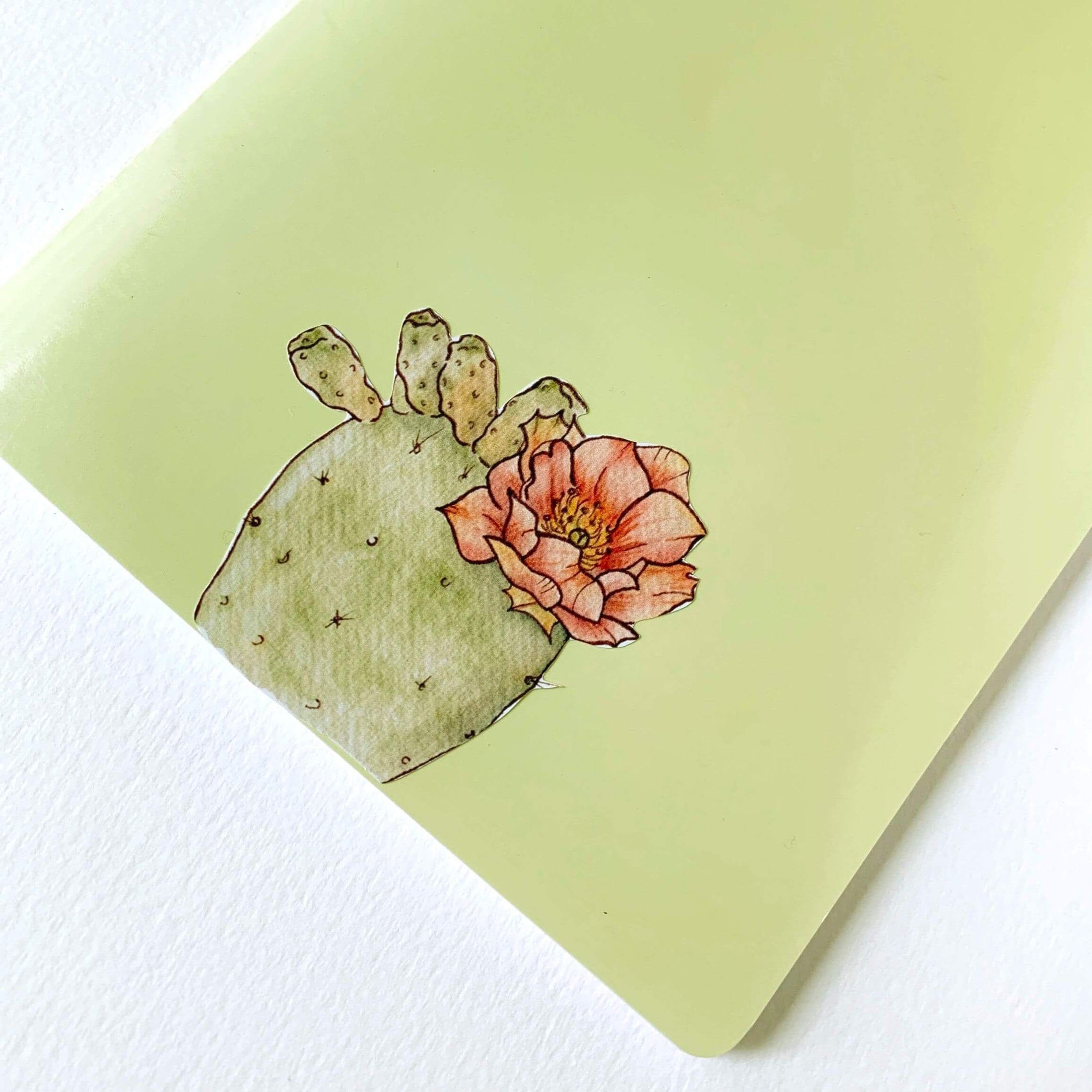 Querin Creations cactus illustration sticker on a light green notebook cover