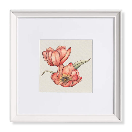 Timeless Tulip Watercolour Art Print